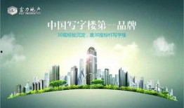 富力地产资金最新爆料,揭秘巨额债务背后的困境