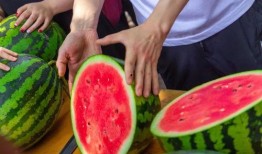 最新免费吃瓜,揭秘娱乐圈最新热点事件