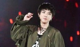 张效艺华晨宇最新爆料,揭秘音乐背后的故事与情感