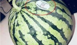 阜宁网红吃瓜,揭秘当地美食背后的故事