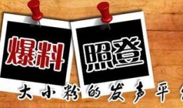 务川新闻爆料,揭秘当地热点事件背后的真相