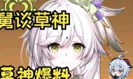 草神爆料官方视频,揭秘神秘力量与奇幻冒险之旅