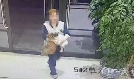 户外白鸽被爆料视频