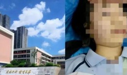 坠楼老师爆料视频,揭开教育乱象背后的真相