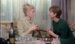 白昼美人在线观看,探寻光影交织下的绝美人生