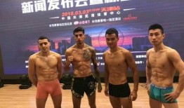 武林风直播在线观看,激情四溢的武术盛宴，在线观看精彩不容错过