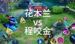 国服花木兰爆料视频,技能解析与全新玩法揭秘