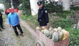 宜丰网红吃瓜事件视频曝光,视频曝光引发网络热议