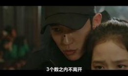 乱系列电影在线观看,在线观看，重温经典动作盛宴