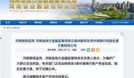 河南银行最新爆料信息,揭秘金融领域重大突破与风险挑战