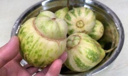 甜瓜美食爆料视频大全最新,揭秘最新爆料视频大全