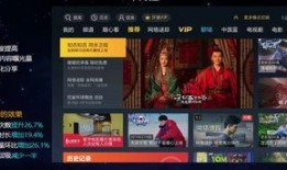 关于爆料李文敏的视频播放,真相与争议交织