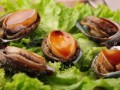 鲍鱼最新爆料图片大全,高清美图大赏