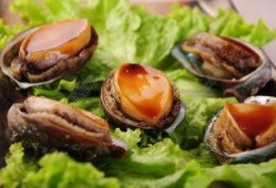 鲍鱼最新爆料图片大全,高清美图大赏