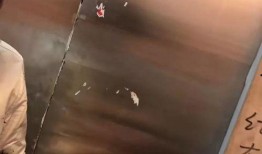 惊魂网友爆料视频大全集,视频大全集揭秘惊悚瞬间