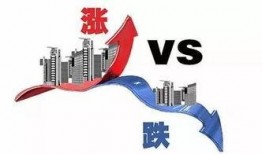 瓦瓦最新爆料,揭秘娱乐圈最新动态