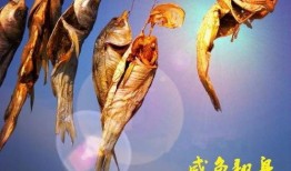 咸鱼最新金鱼爆料