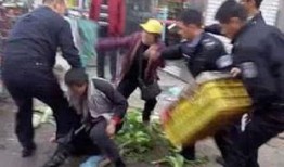 城管爆料视频大全最新,揭秘城市管理背后的故事