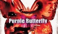 紫蝴蝶电影在线观看,穿越时空的浪漫传奇
