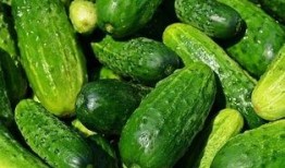 娱乐吃瓜素材在哪找到,吃瓜素材大搜集，带你一探究竟