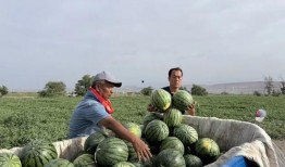天天吃瓜全过程免费观看,揭秘“天天吃瓜”的精彩瞬间