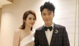 最新爆料张丹峰洪欣,最新爆料揭秘夫妻关系疑云