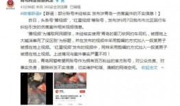 大王爆料青岛事件视频全集,大王爆料视频全集深度解析