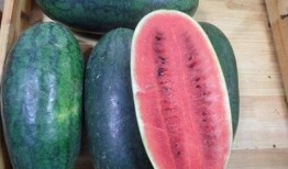 网红吃瓜黑料吃瓜别打样,揭秘网络舆论背后的真相与反思