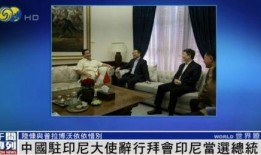 印尼网友爆料新闻视频,惊曝新闻视频内容揭秘