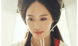 杨蓉最新爆料视频,娱乐圈幕后真相大曝光！